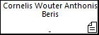 Cornelis Wouter Anthonis Beris