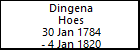 Dingena Hoes