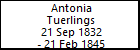 Antonia Tuerlings